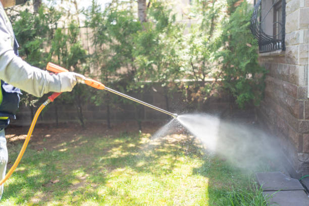 Pest Control Cost in Rome, NY